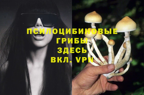 прущие крисы Арсеньев
