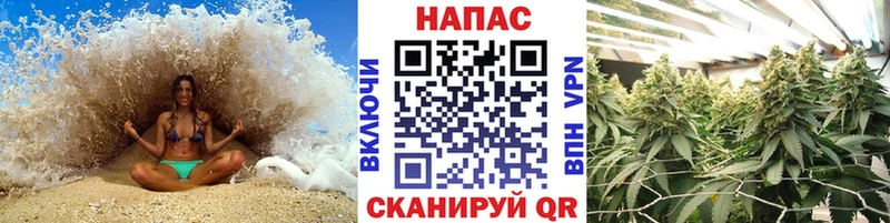 Шишки марихуана семена  Кукмор 